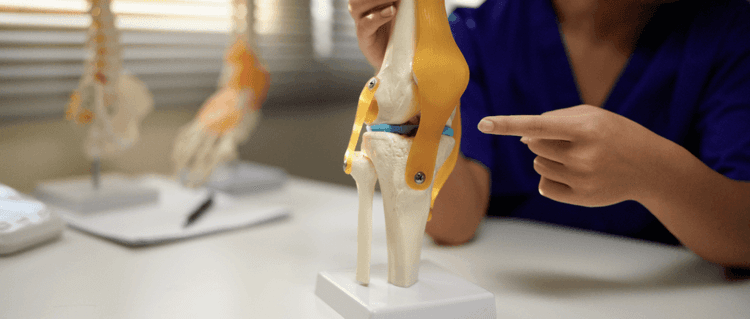 Knee Replacements Could Soon Be A Thing Of The Past