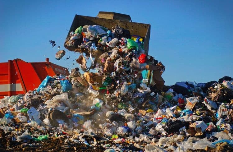 The Most Romantic Landfill Treasure Hunt