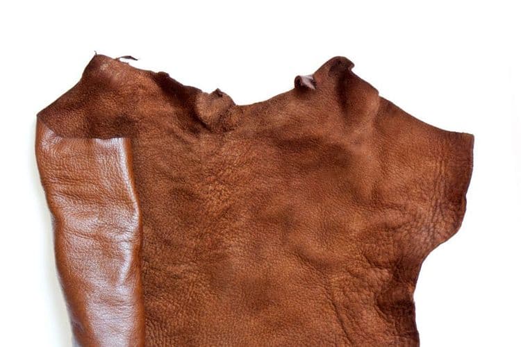 Scientists Made Real Leather Without Harming Any Animals