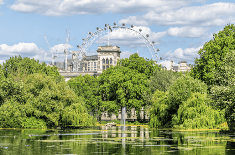 The Creatures Thriving In London's Microclimates Are WILD