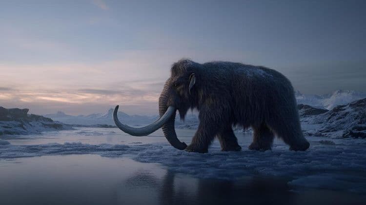 Scientists Extract Ancient RNA From 39,000 Year Old Woolly Mammoth