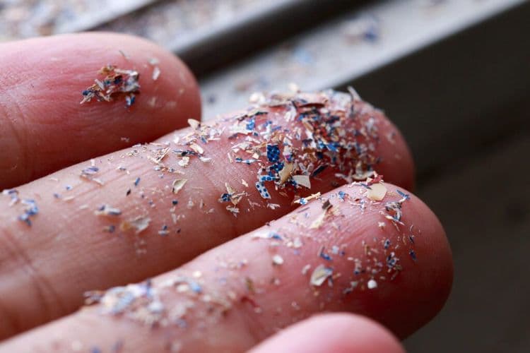 Europe Is ELIMINATING Microplastics From Everyday Products