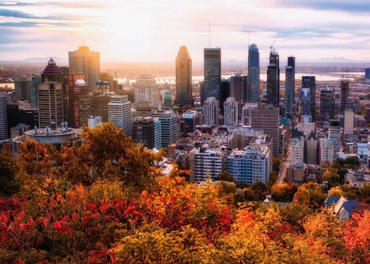 The Inspiring Story Behind Montreal's One-Woman Cleanup Crusade