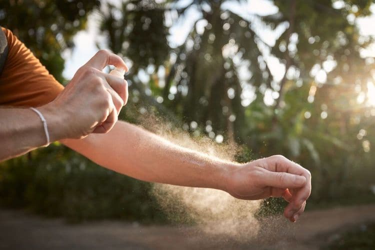 Mosquitoes Are Finally Useful For Something