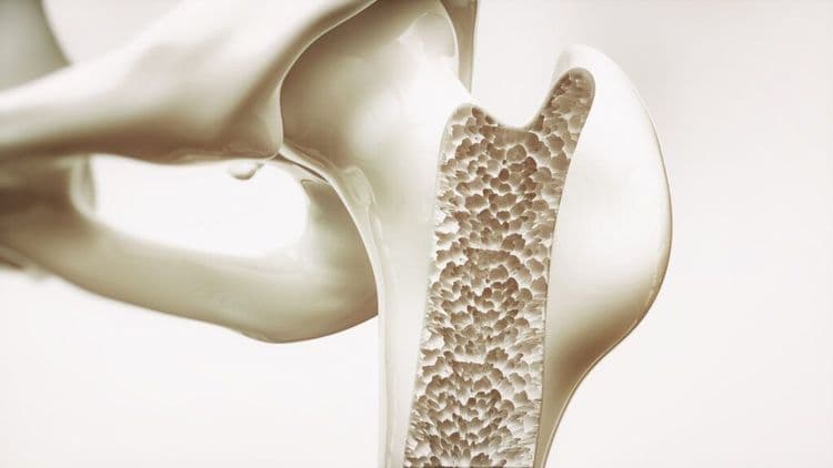 The Secret To Unbreakable Bones In Old Age?!
