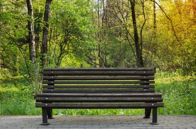 How Park Benches Became a Powerful Therapy Tool