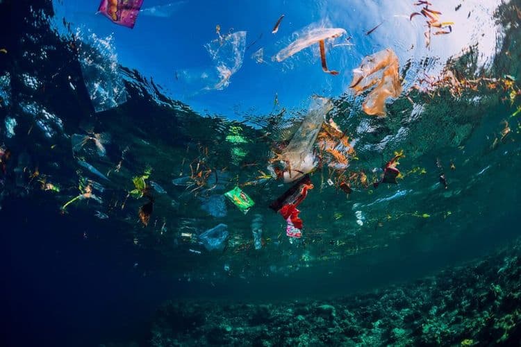 The Breakthrough That Could Save Our Oceans Forever