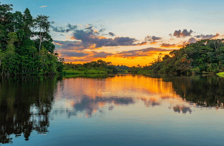 This Nation Sets A New Standard For The Amazon