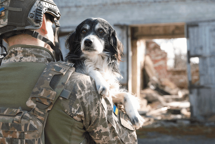 The 76 Year Old Who Bottle Feeds Puppies In A War Zone