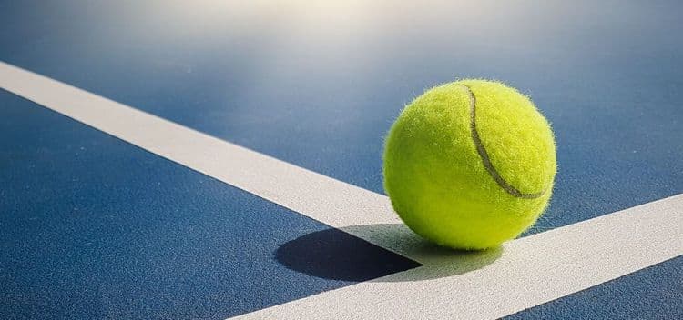 The Genius Way Wimbledon Saves Mice Every Year