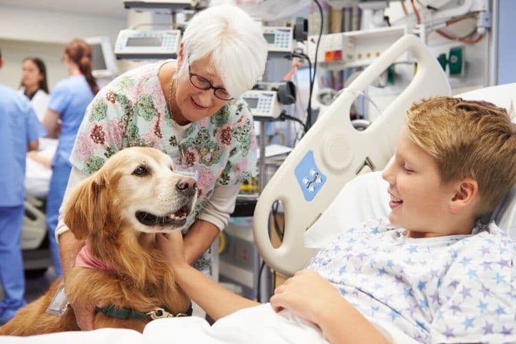 These Furry Doctors Never Went to Medical School