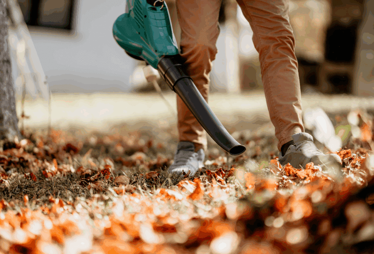 These Volunteers Prove That Good Neighbors Can Change Everything