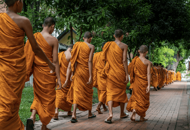 Rescue Dog Leads Monks On A Peace Walk