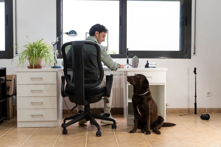 London Discovers the Perfect Way to Boost Workplace Happiness