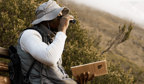 The Surprising Brain Benefits Of Birdwatching