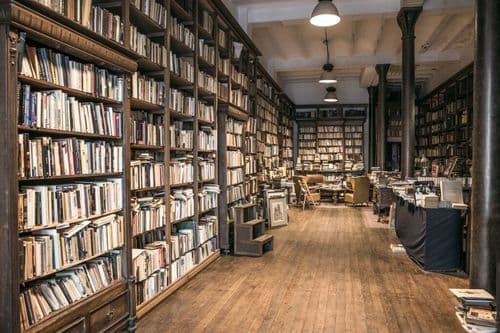 Independent Bookstores Are Making A Comeback Nobody Predicted