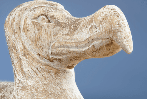 The Dodo Bird May Be Coming Back And It Could Happen In…