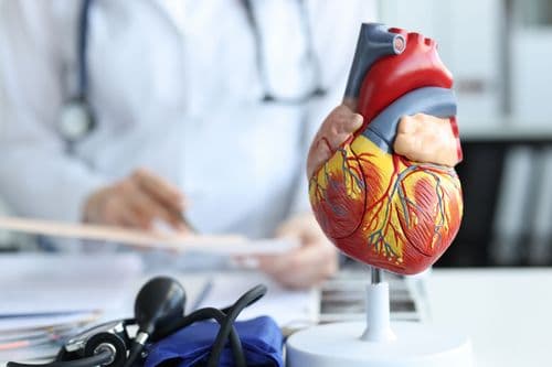 Scientists Just Proved For The First Time That Human Hearts Can Repair Themselves After A Heart Attack