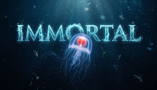 This Jellyfish Is Immortal And Could Save Us
