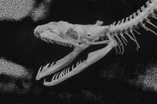 Scientists Just Found The Fossilized Remains Of A Snake That May Have Been Up To 50 Feet Long