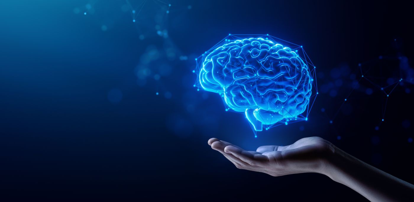 Person Sleeping Brain Waves
