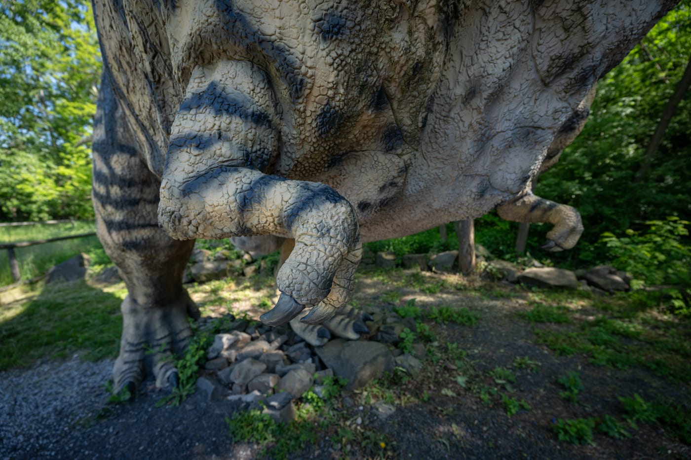 T rex tiny arms explained paleontology study Proceedings Royal Society 2026 skull forelimb evolution