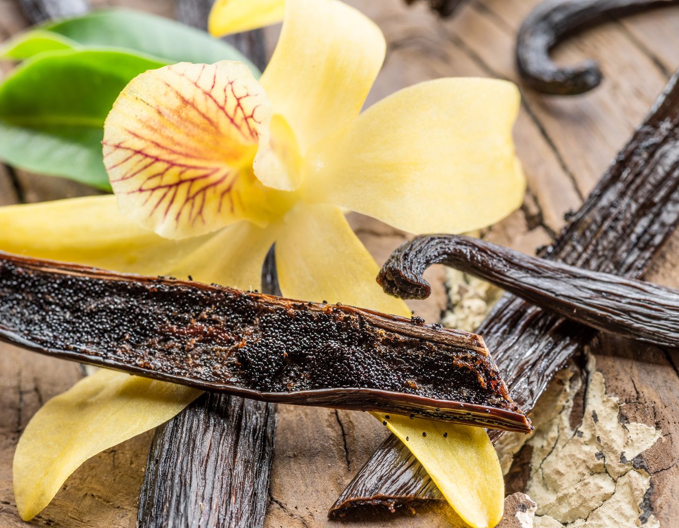 Vanilla vanillin wound healing research