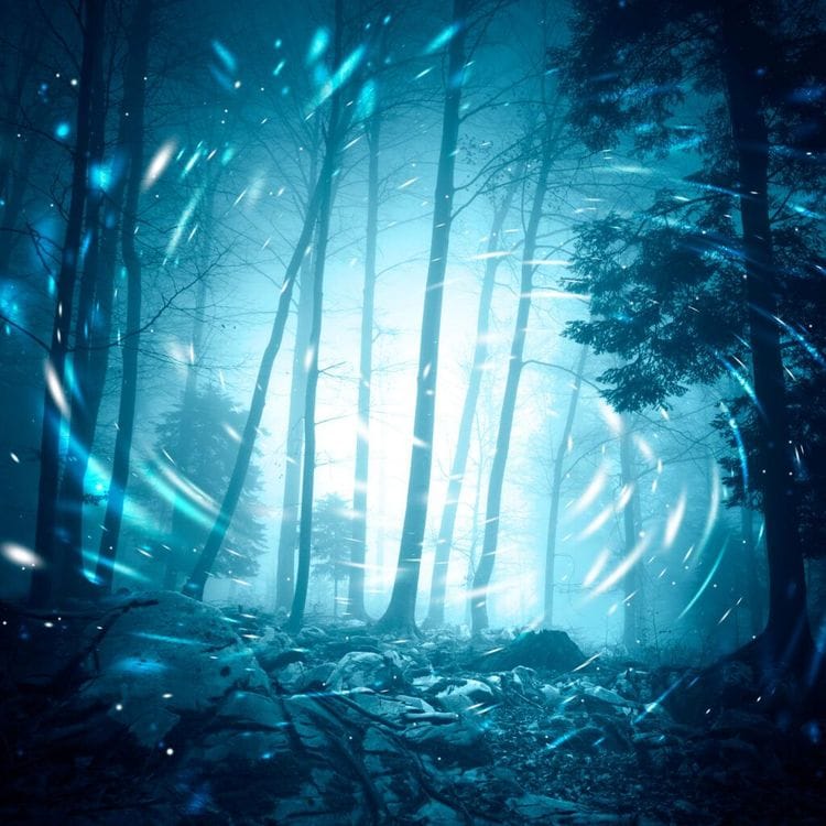 Strange Blue Ghosts Are Attracting Thousands Into the Woods