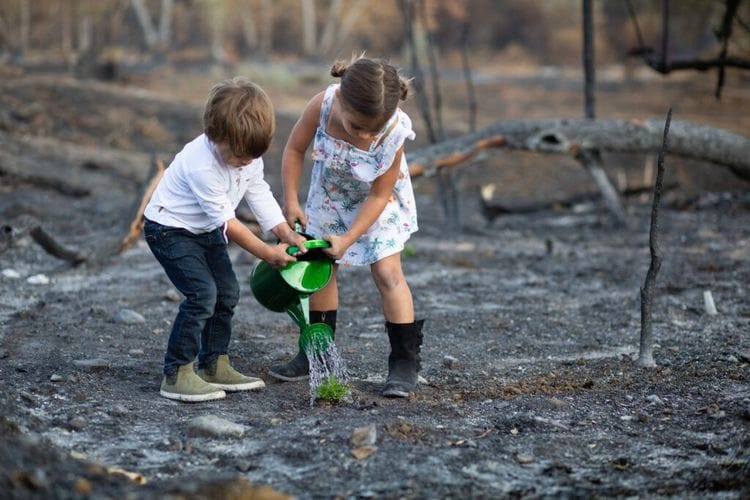 A Camp With a Purpose: Helping Children Cope After Wildfires