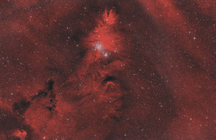 NASA's Christmas Project Comparing Vast And Small