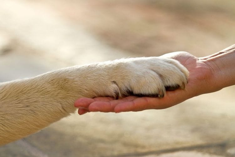 What Scientists Just Proved Will Transform How We Handle Stress
