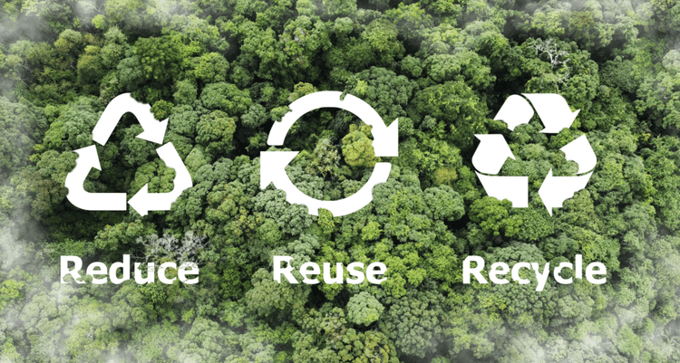 Turning Invasive Weeds Into Sustainable Solutions