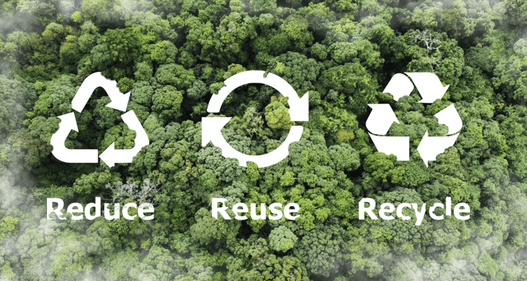 Turning Invasive Weeds Into Sustainable Solutions