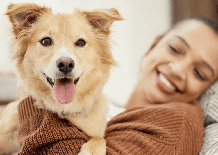 This Pill Could Give Dogs an Extra Year of Life—And Humans Might Be Next