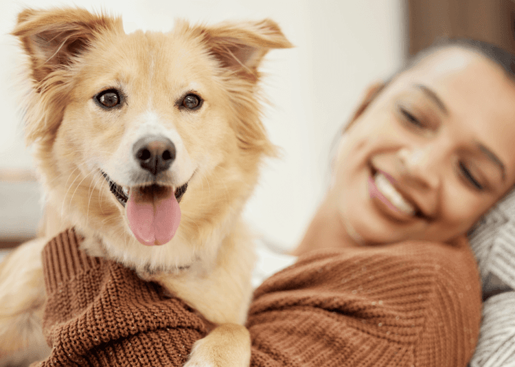 This Pill Could Give Dogs an Extra Year of Life—And Humans Might Be Next