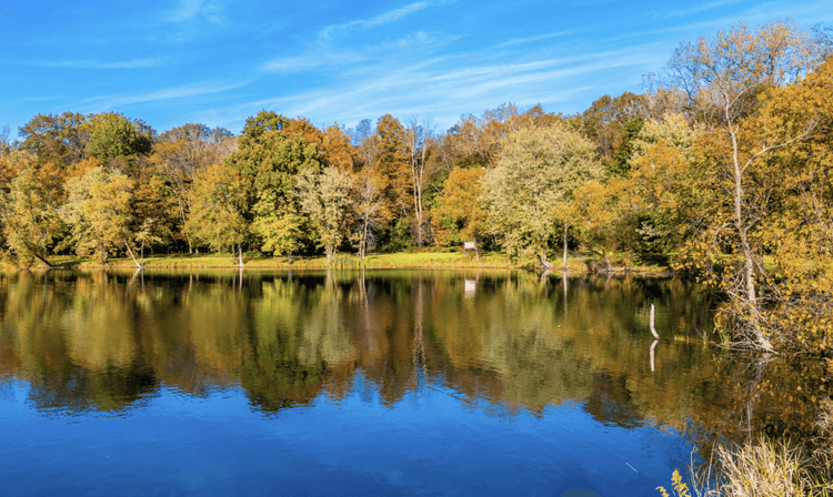 Illinois Returns Stolen Land to Potawatomi Nation After 175 Years