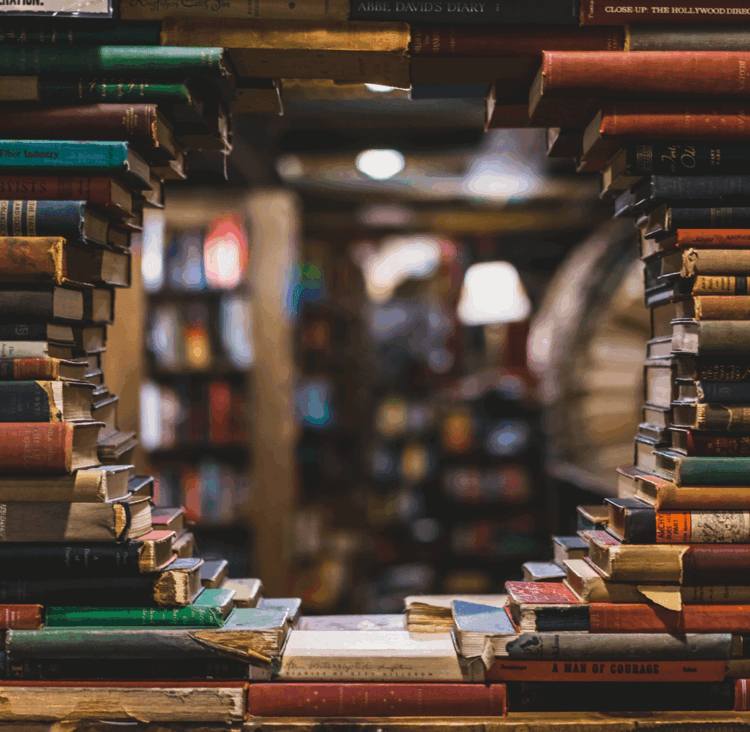 Michigan Community Moves 9,100 Books by Hand