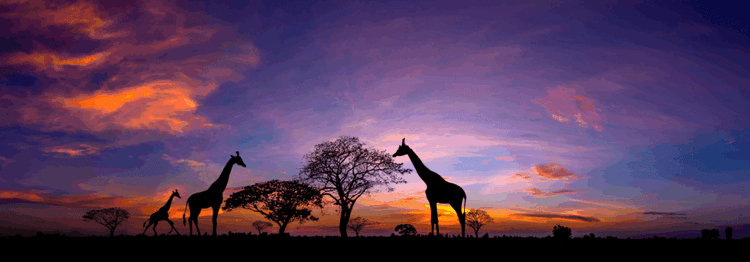 He’s Giving It All Away And Africa’s About to Change Forever