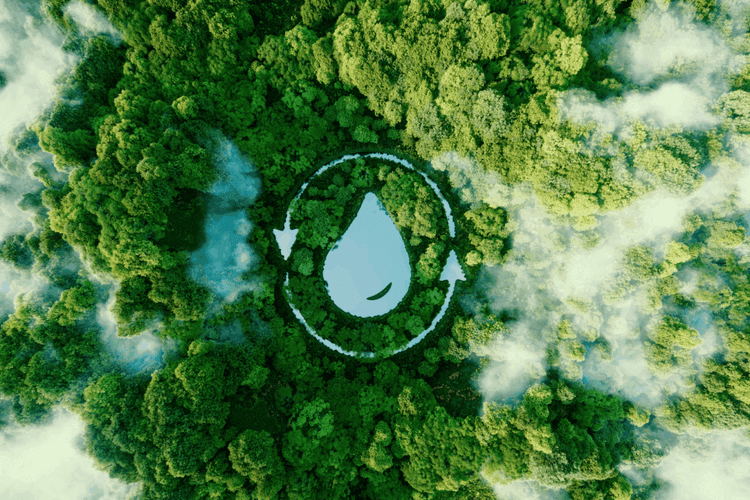 A Surprising Solution to the Global Water Crisis