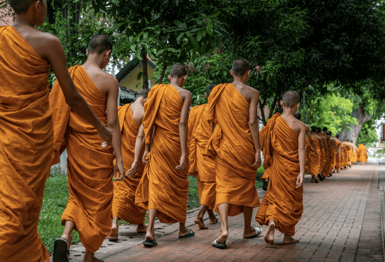 Rescue Dog Leads Monks On A Peace Walk